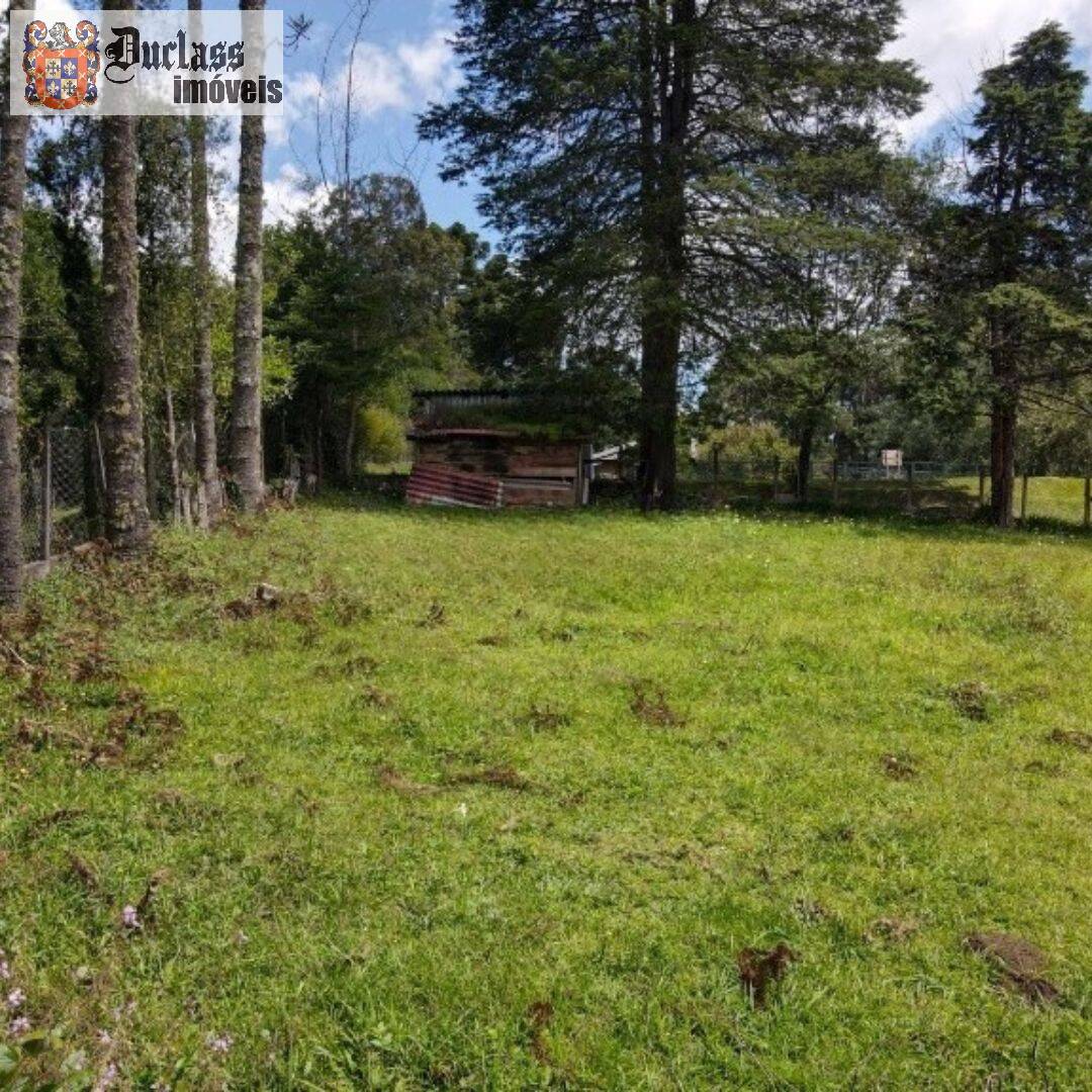 Terreno, 1330 m² - Foto 13