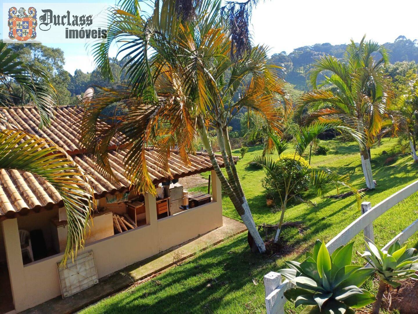 Chácara, 4 quartos, 2 hectares - Foto 5