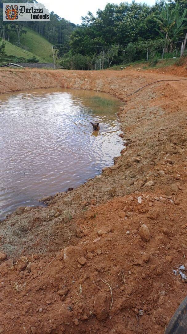 Chácara, 4 quartos, 2 hectares - Foto 7