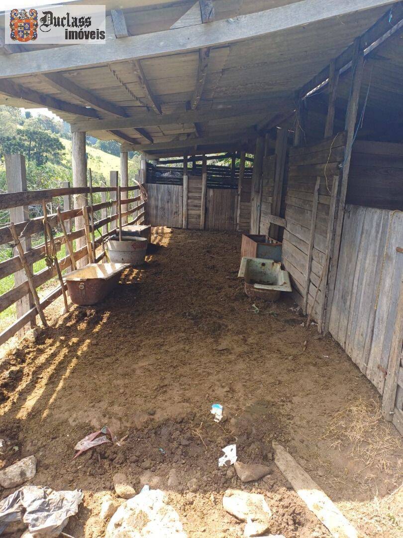 Chácara, 4 quartos, 2 hectares - Foto 9