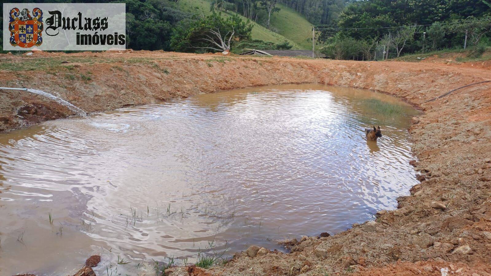 Chácara, 4 quartos, 2 hectares - Foto 12