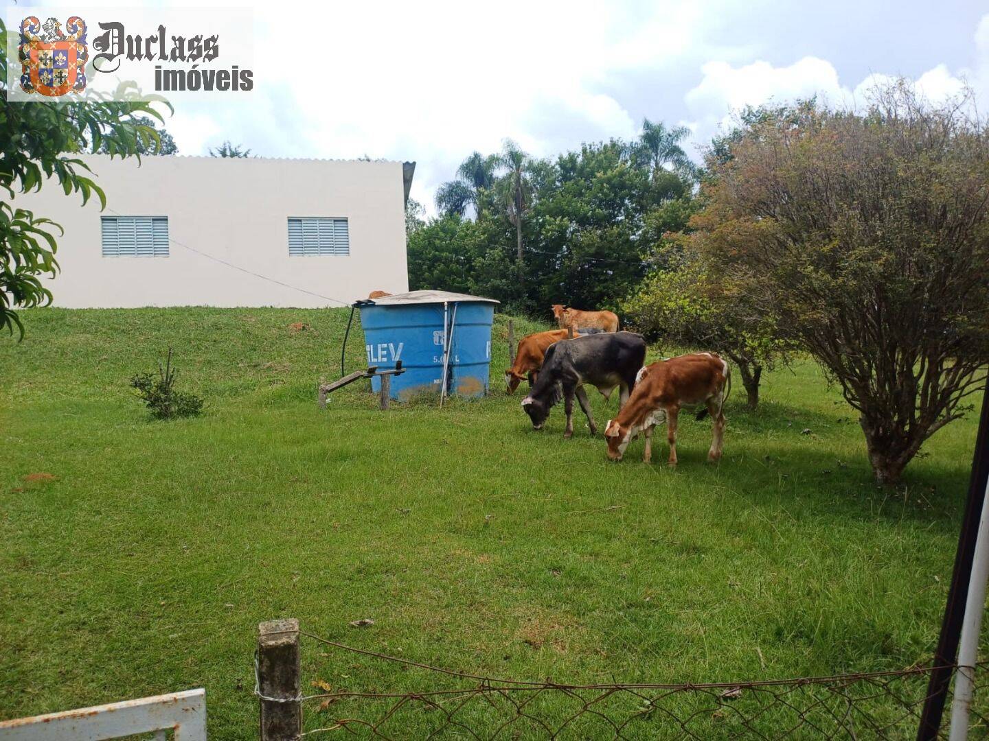 Chácara, 4 quartos, 2 hectares - Foto 13