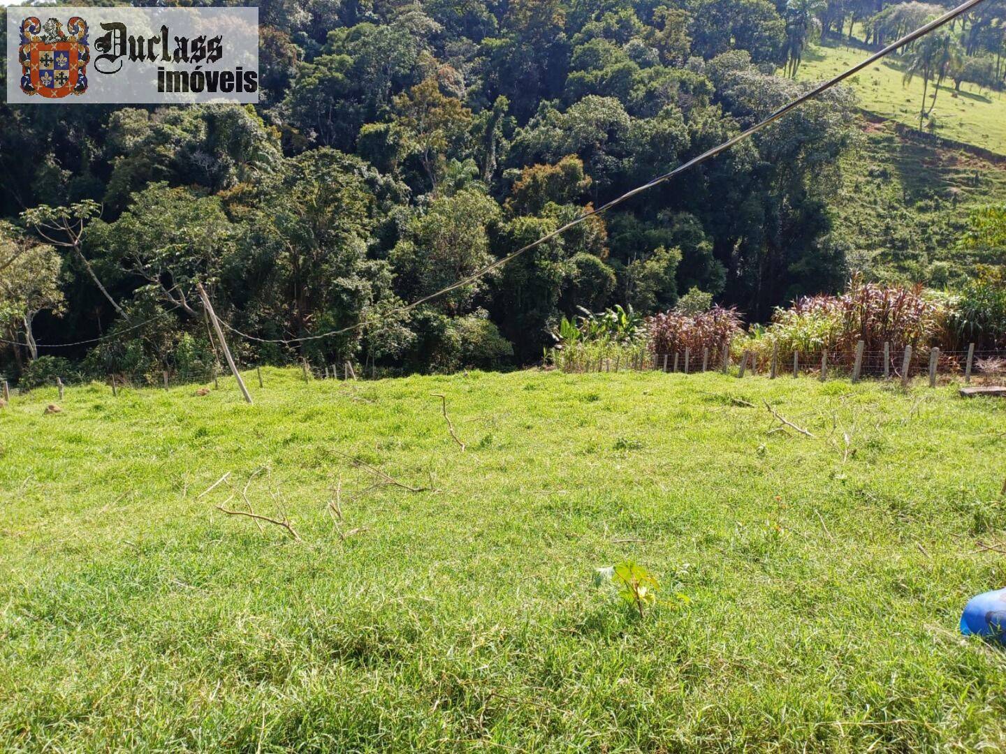 Chácara, 4 quartos, 2 hectares - Foto 15