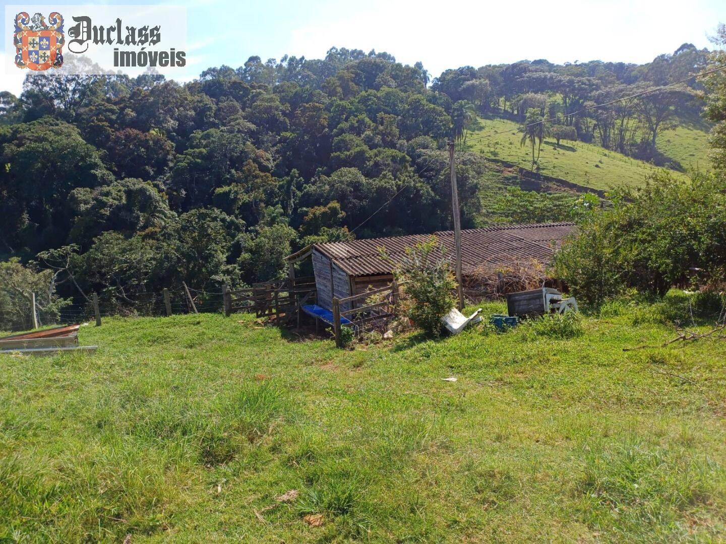 Chácara, 4 quartos, 2 hectares - Foto 30
