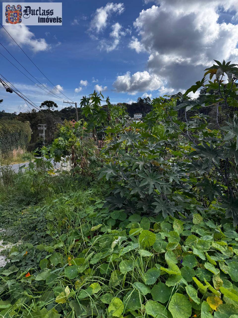 Terreno, 850 m² - Foto 1