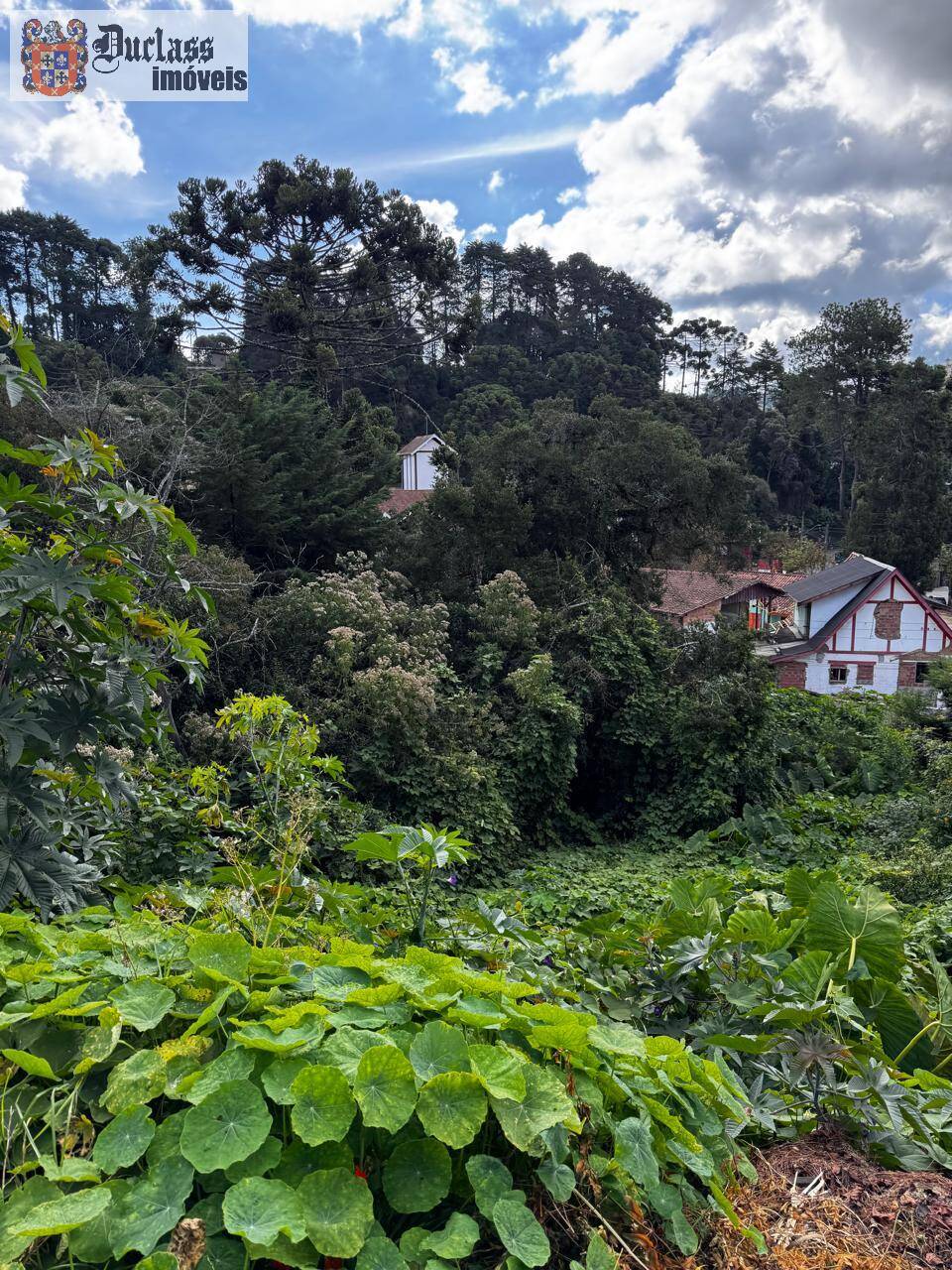 Terreno, 850 m² - Foto 2