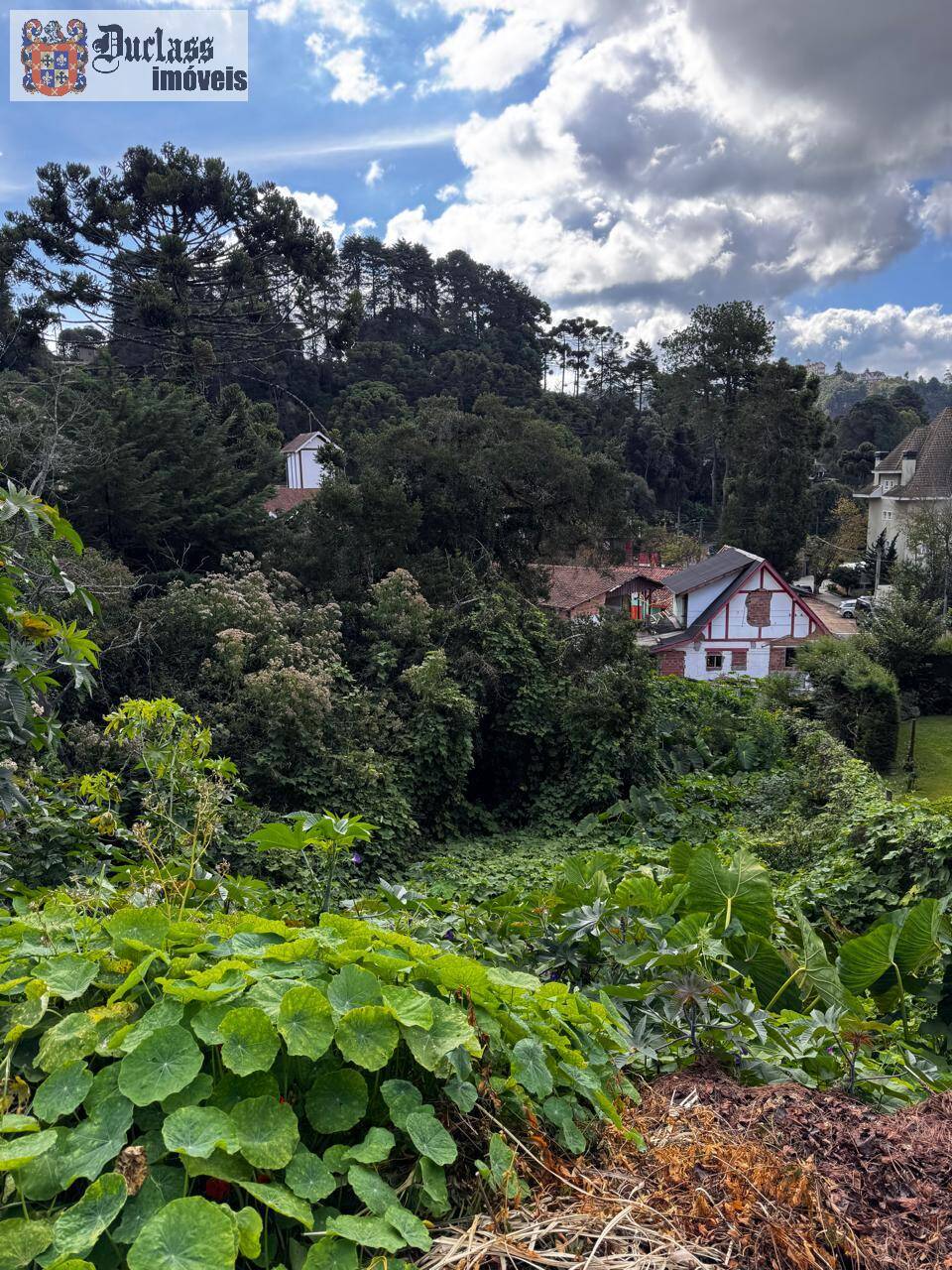 Terreno, 850 m² - Foto 3