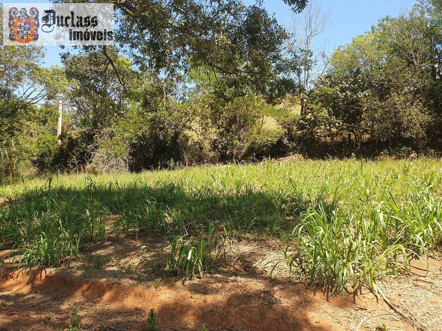 Sítio, 6 quartos, 3 hectares - Foto 7