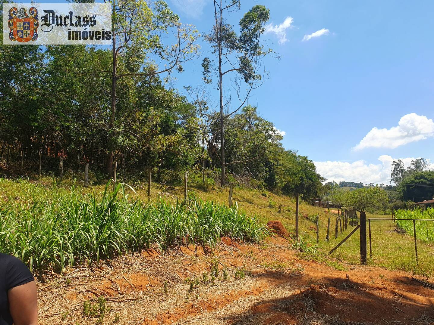 Sítio, 6 quartos, 3 hectares - Foto 8