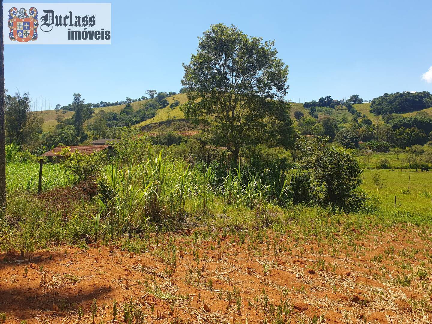 Sítio, 6 quartos, 3 hectares - Foto 9