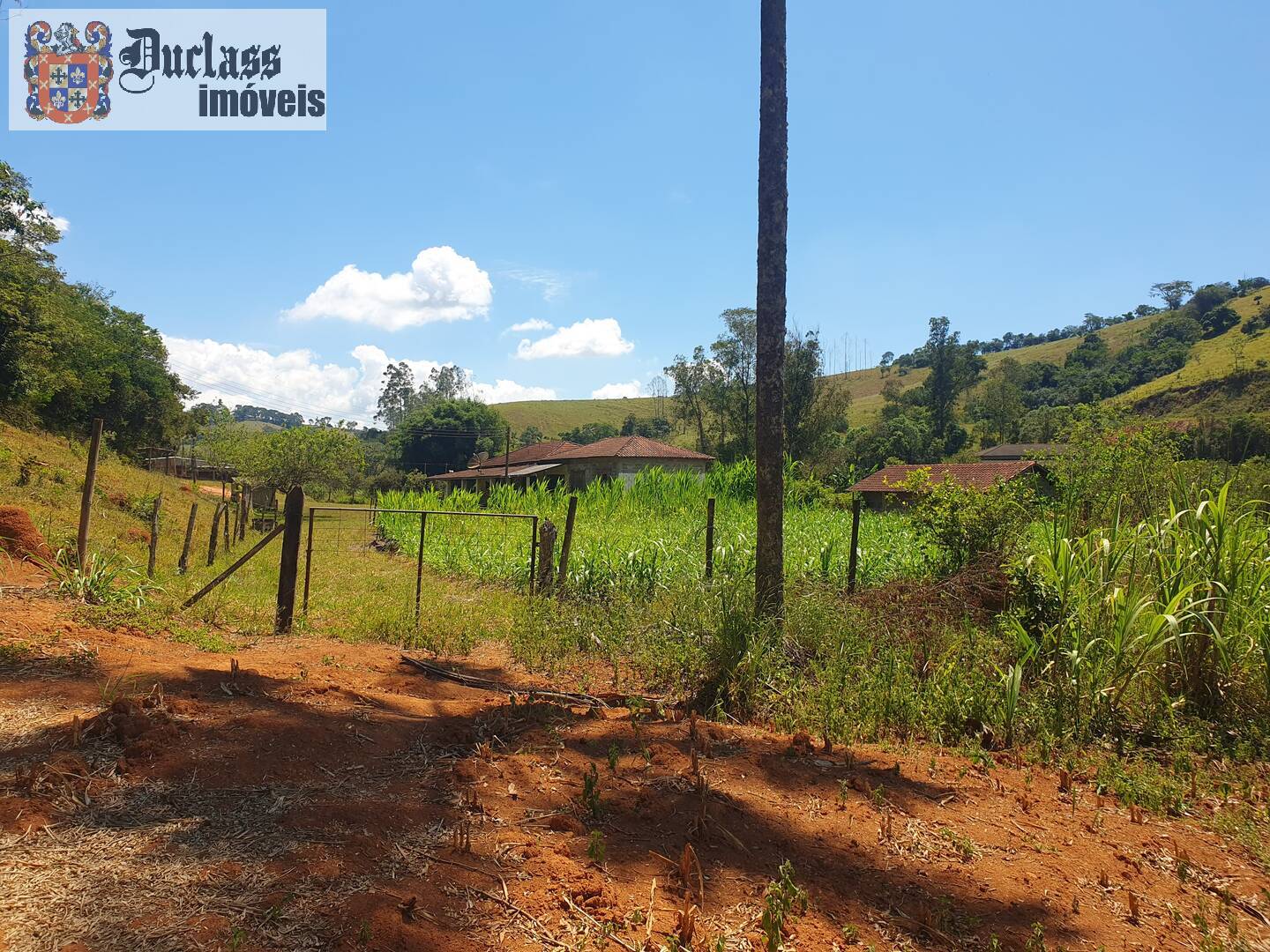 Sítio, 6 quartos, 3 hectares - Foto 10