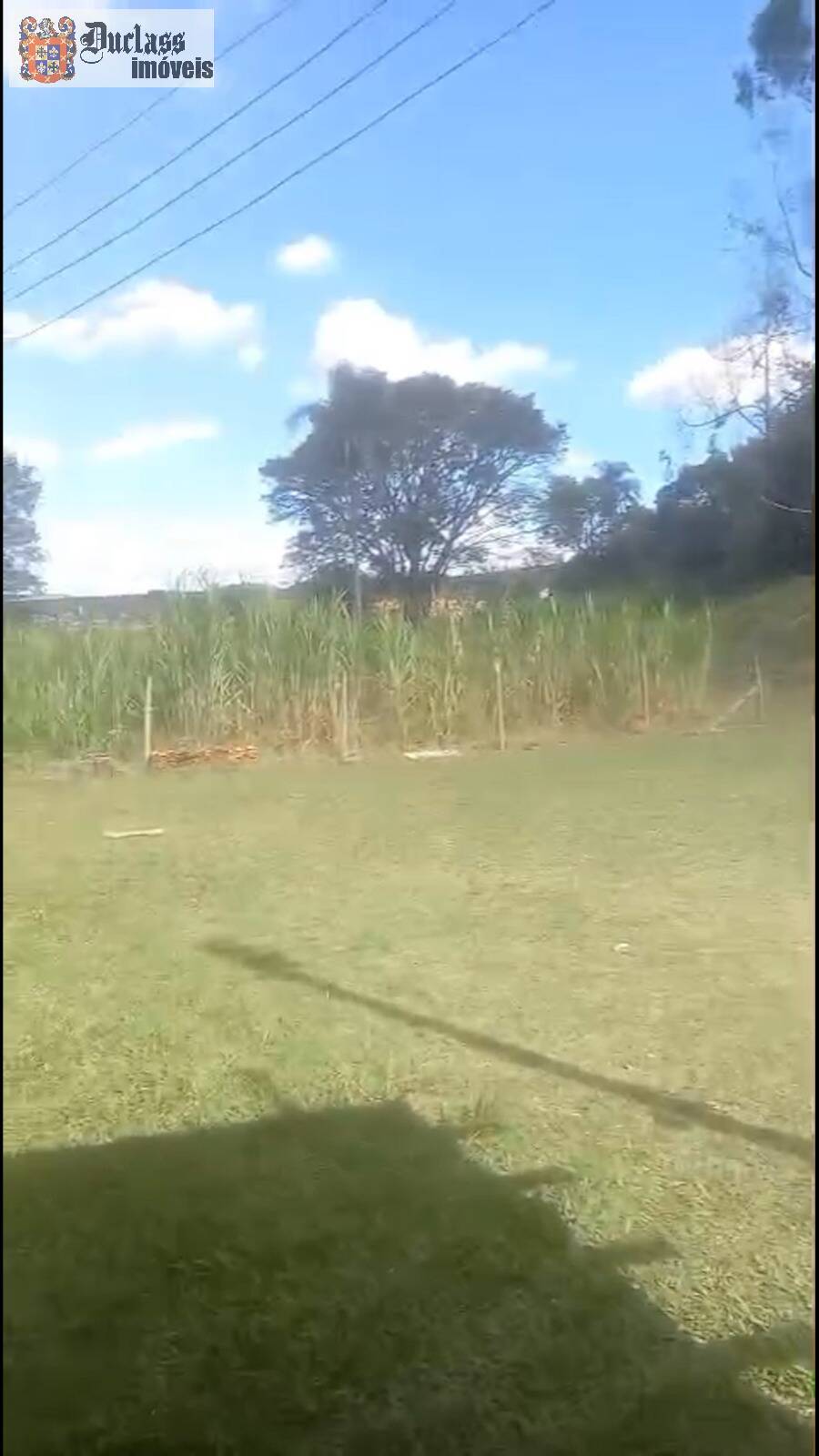 Sítio, 6 quartos, 3 hectares - Foto 29