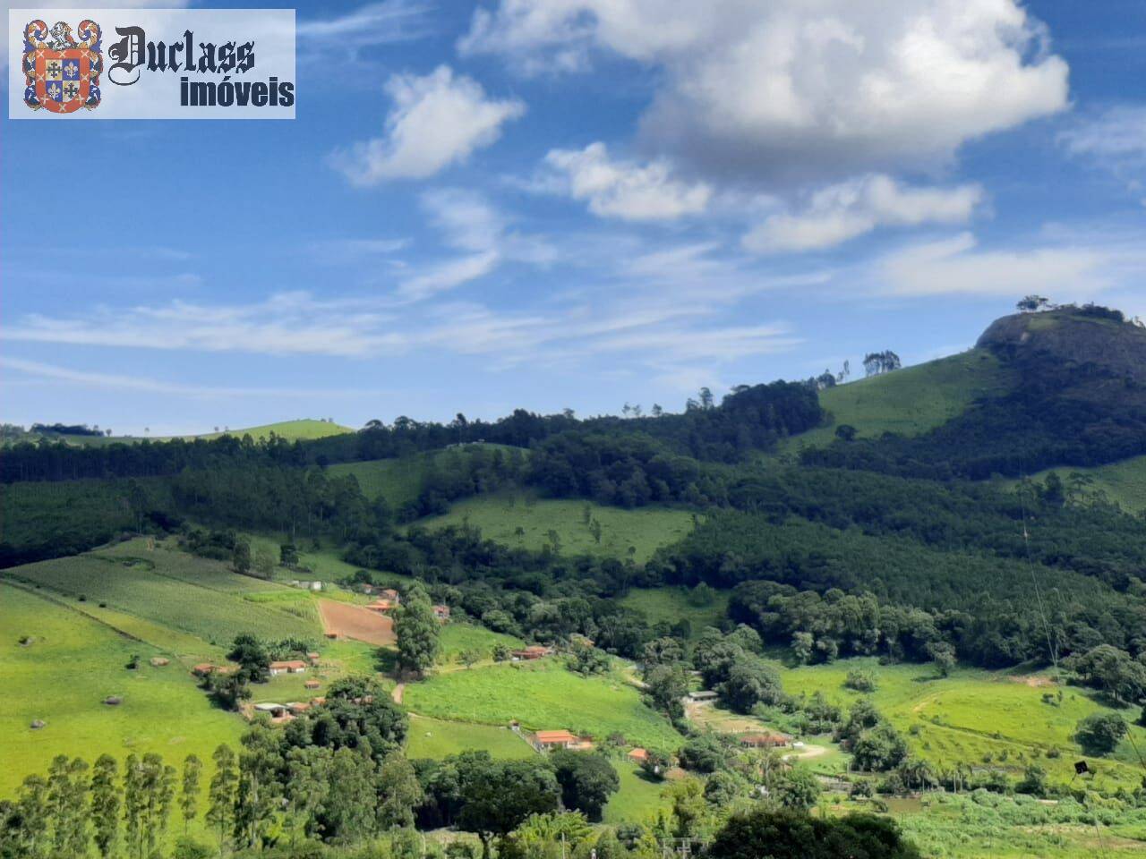 Chácara, 6 quartos, 2 hectares - Foto 6