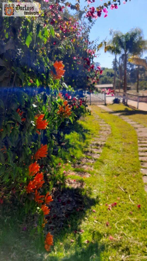 Chácara, 6 quartos, 2 hectares - Foto 1