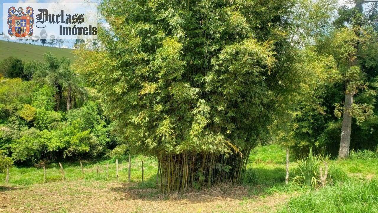 Chácara, 6 quartos, 2 hectares - Foto 11