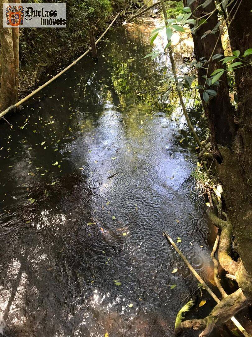 Chácara, 6 quartos, 2 hectares - Foto 12