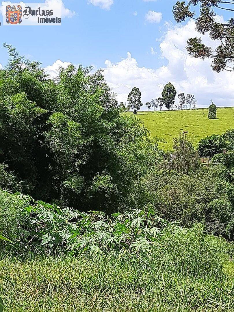 Chácara, 6 quartos, 2 hectares - Foto 10