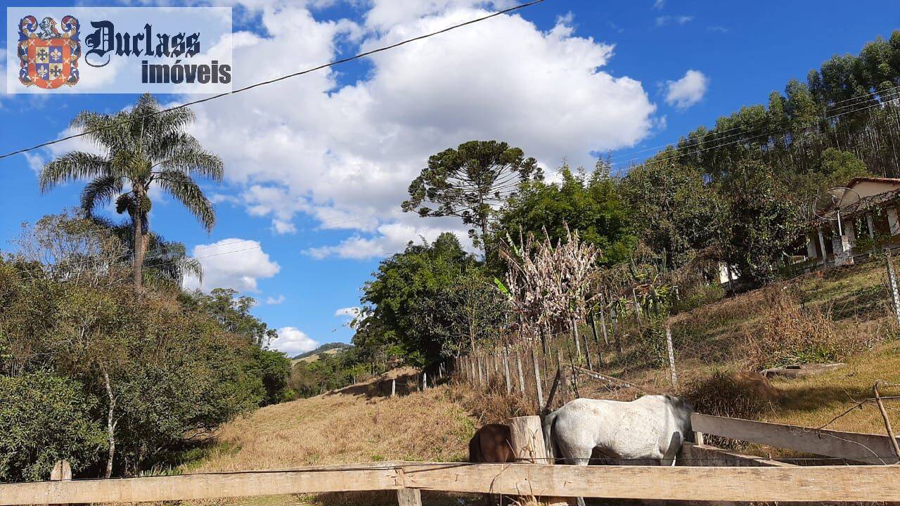 Chácara, 6 quartos, 2 hectares - Foto 18