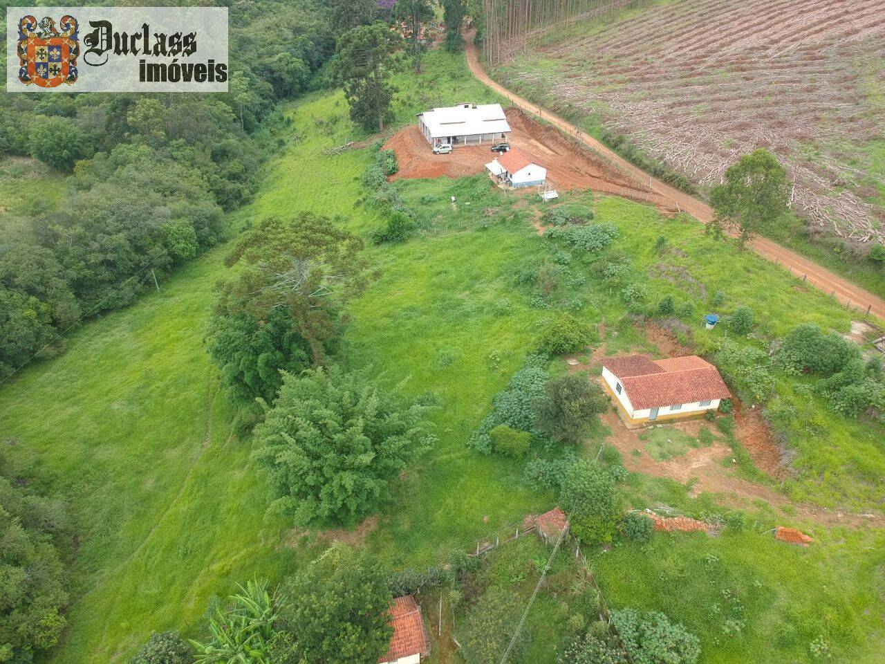 Chácara, 6 quartos, 2 hectares - Foto 19