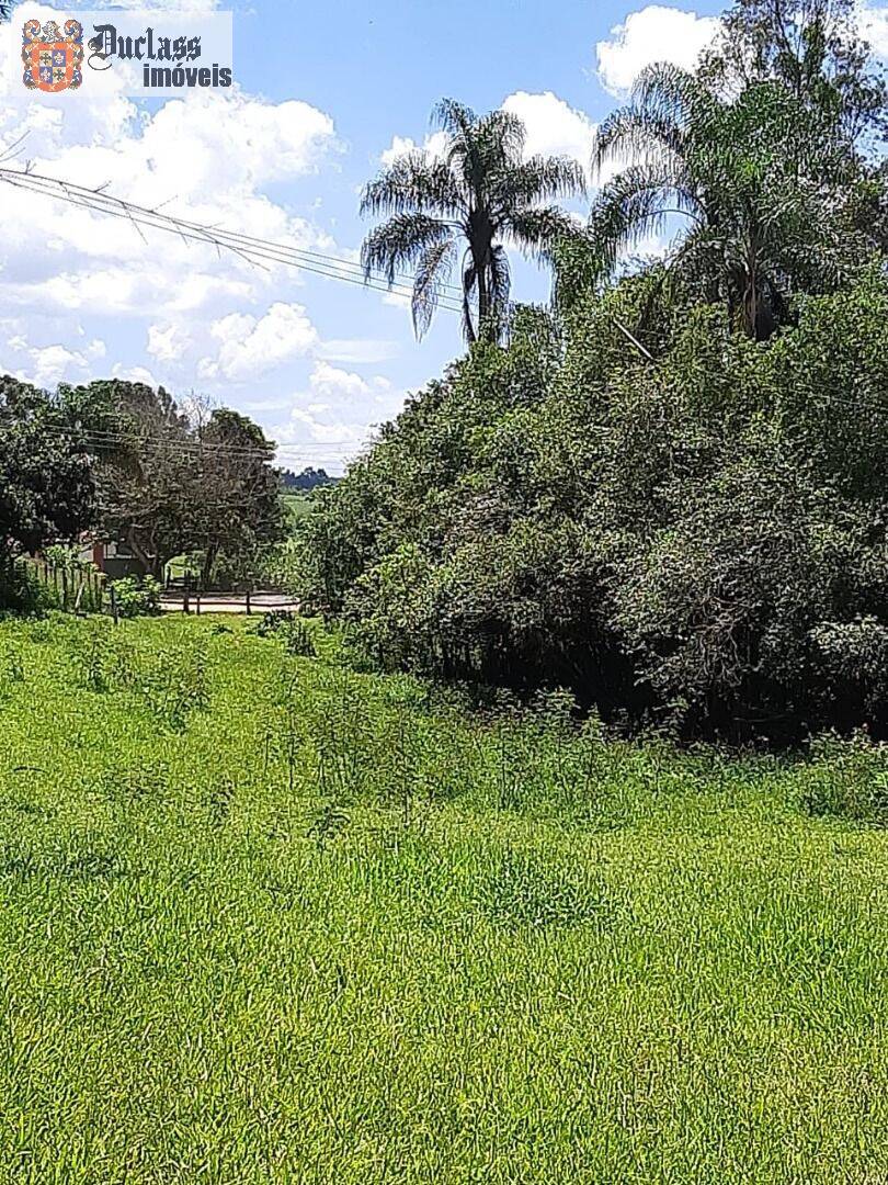 Chácara, 6 quartos, 2 hectares - Foto 22