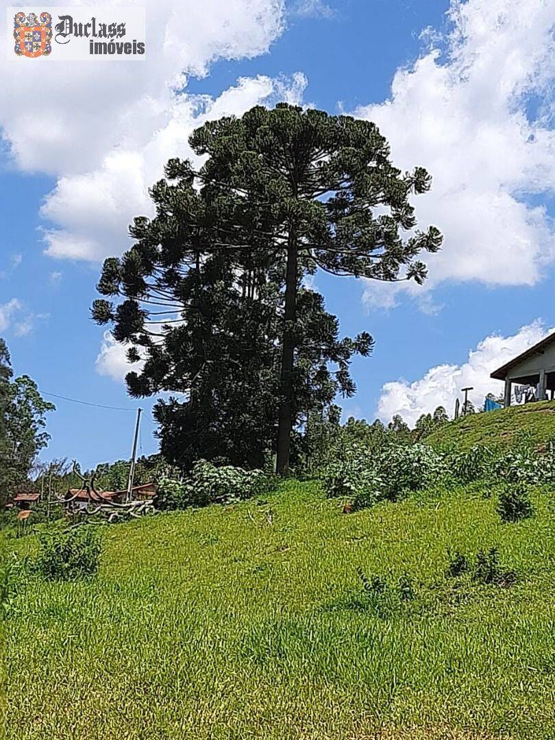 Chácara, 6 quartos, 2 hectares - Foto 28