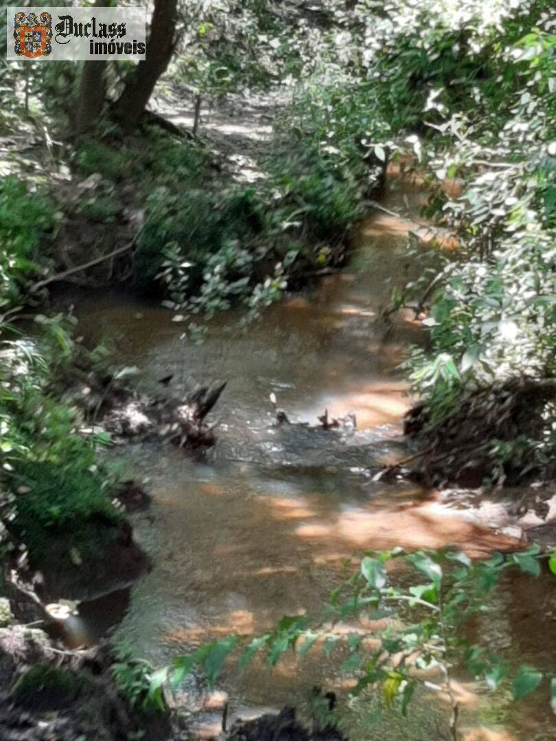 Chácara, 6 quartos, 2 hectares - Foto 29