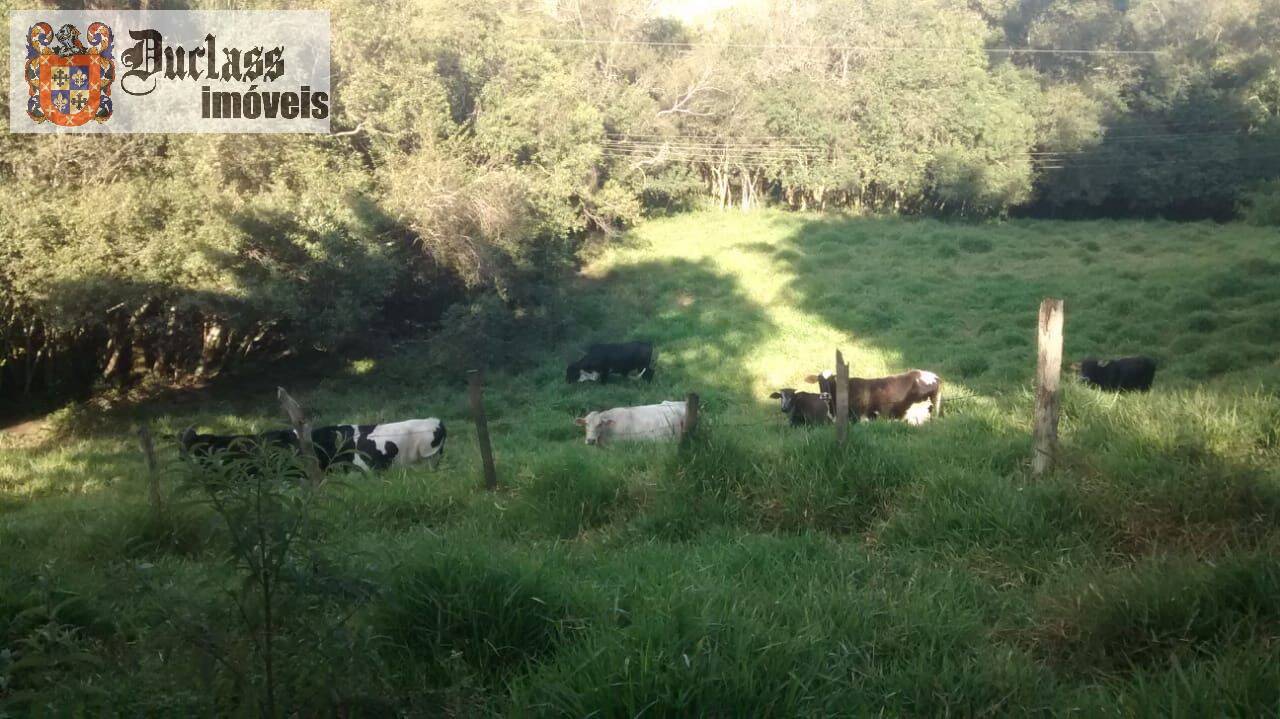 Chácara, 6 quartos, 2 hectares - Foto 32