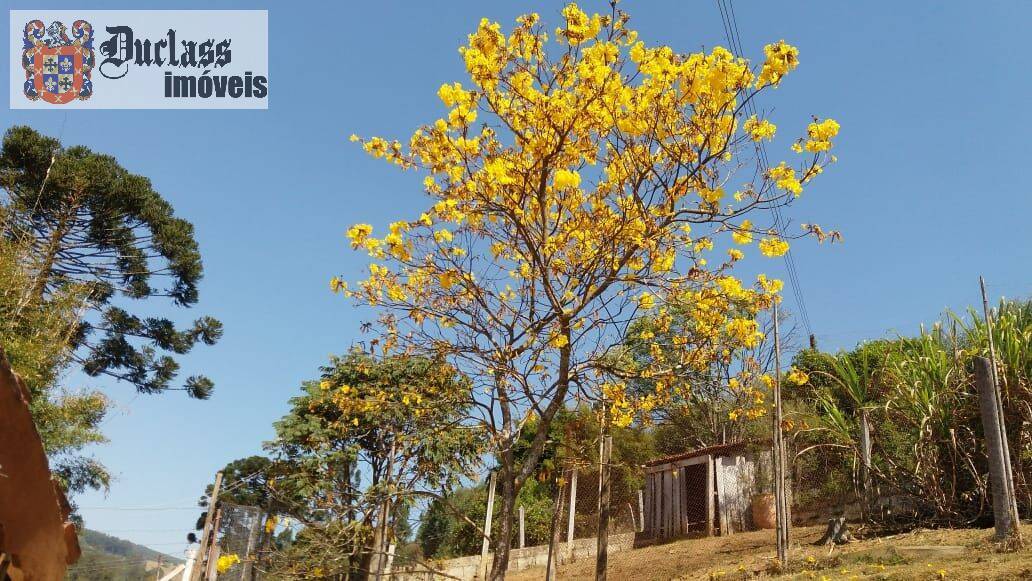 Chácara, 6 quartos, 2 hectares - Foto 31