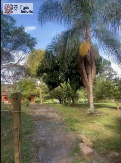 Chácara, 2 quartos, 5000 m² - Foto 5