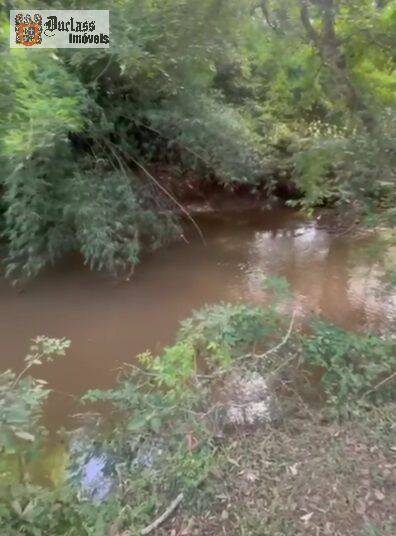 Chácara, 2 quartos, 5000 m² - Foto 4