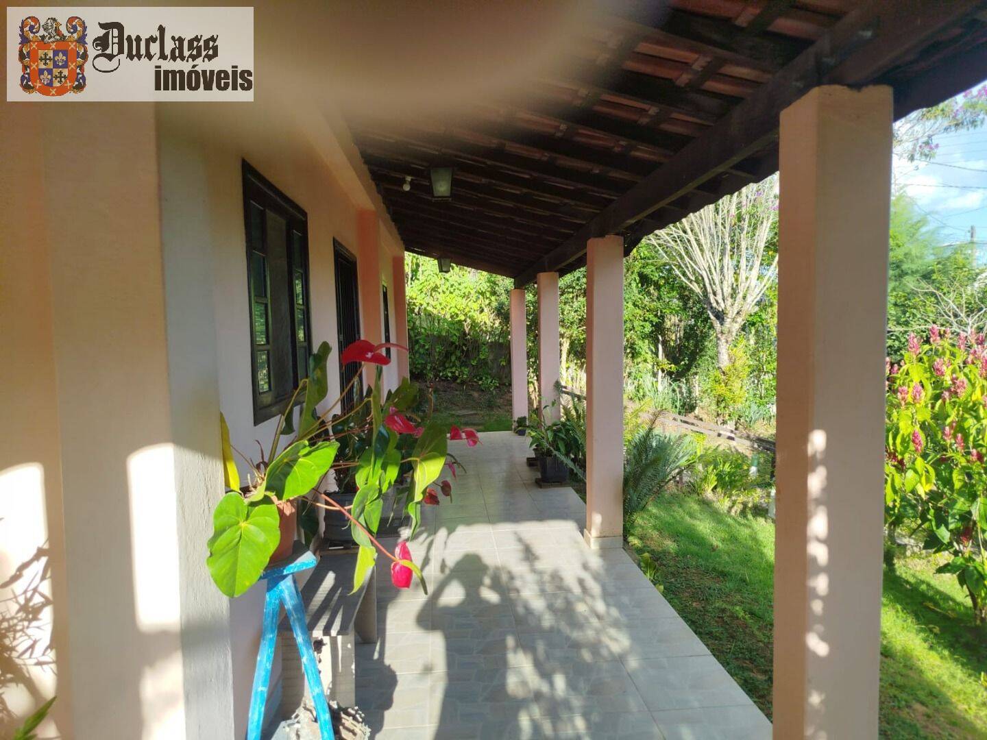 Chácara, 3 quartos, 1200 m² - Foto 3