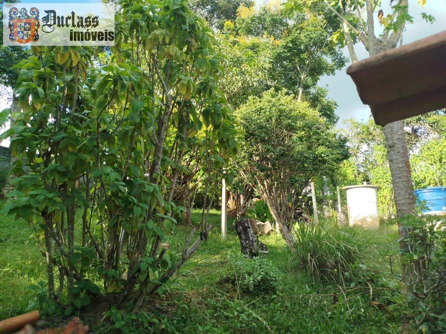 Chácara, 3 quartos, 1200 m² - Foto 4