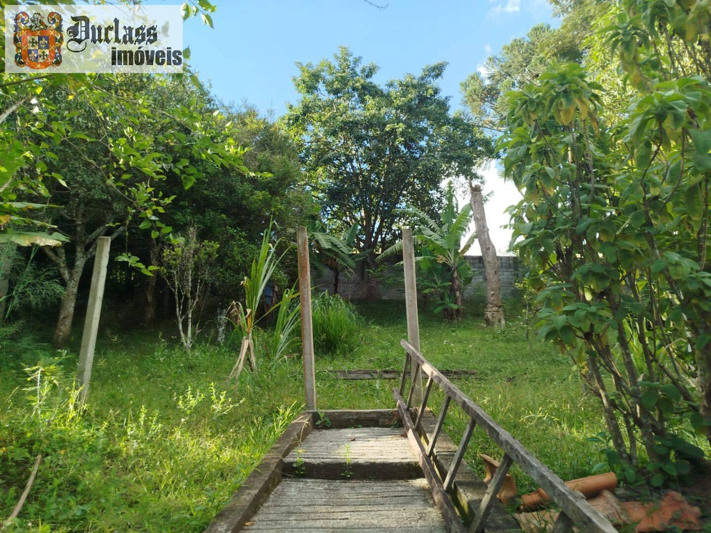 Chácara, 3 quartos, 1200 m² - Foto 6