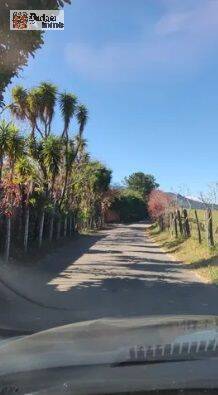 Terreno, 1000 m² - Foto 4