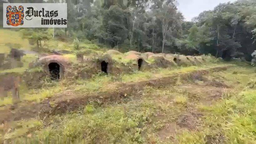 Terreno, 19 hectares - Foto 3