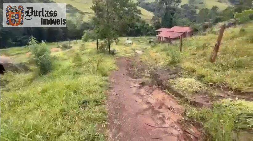 Terreno, 19 hectares - Foto 4