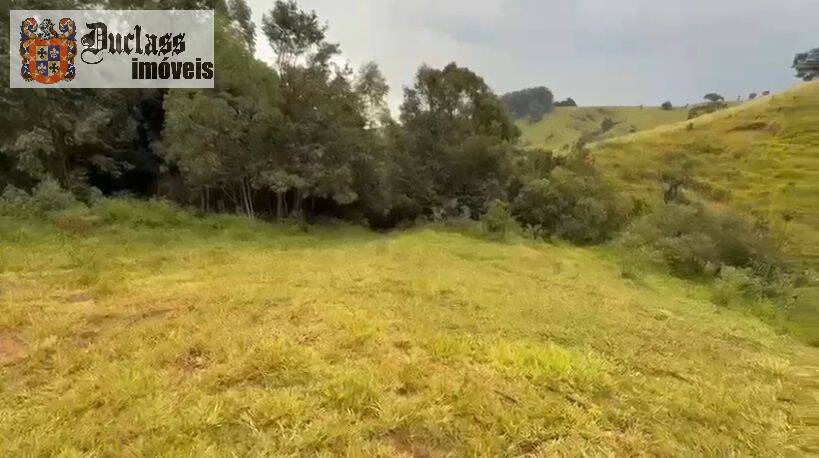 Terreno, 19 hectares - Foto 6