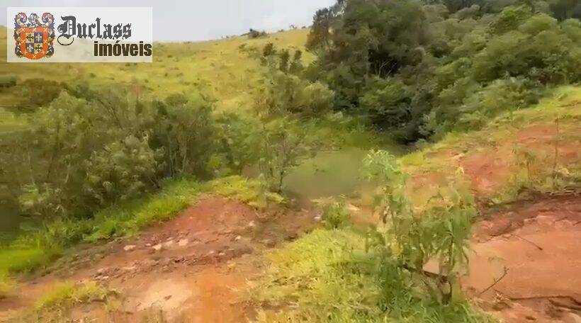 Terreno, 19 hectares - Foto 7