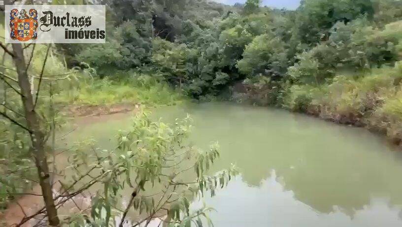 Terreno, 19 hectares - Foto 9