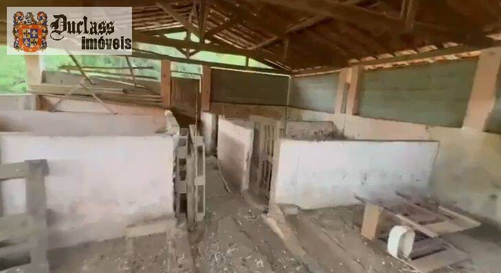 Terreno, 19 hectares - Foto 12