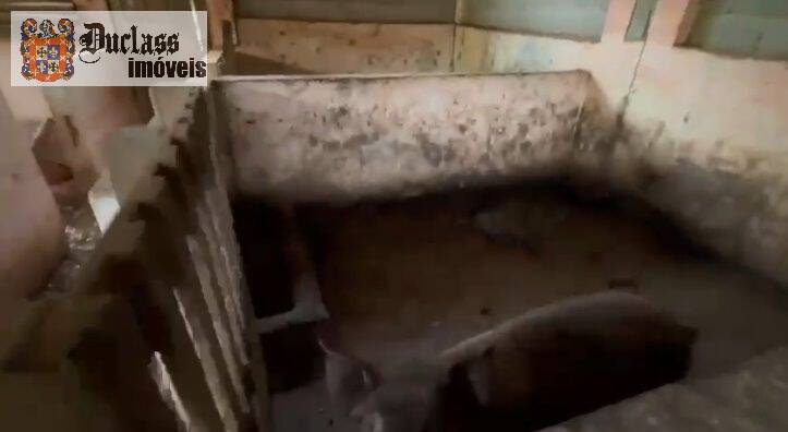 Terreno, 19 hectares - Foto 13