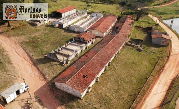 Sítio, 7 quartos, 2 hectares - Foto 1