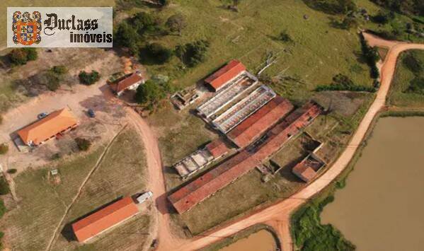 Sítio, 7 quartos, 2 hectares - Foto 2