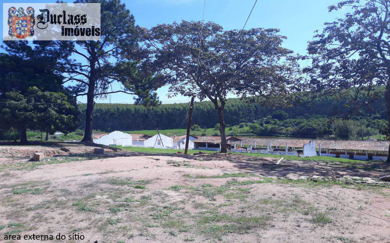 Sítio, 7 quartos, 2 hectares - Foto 4