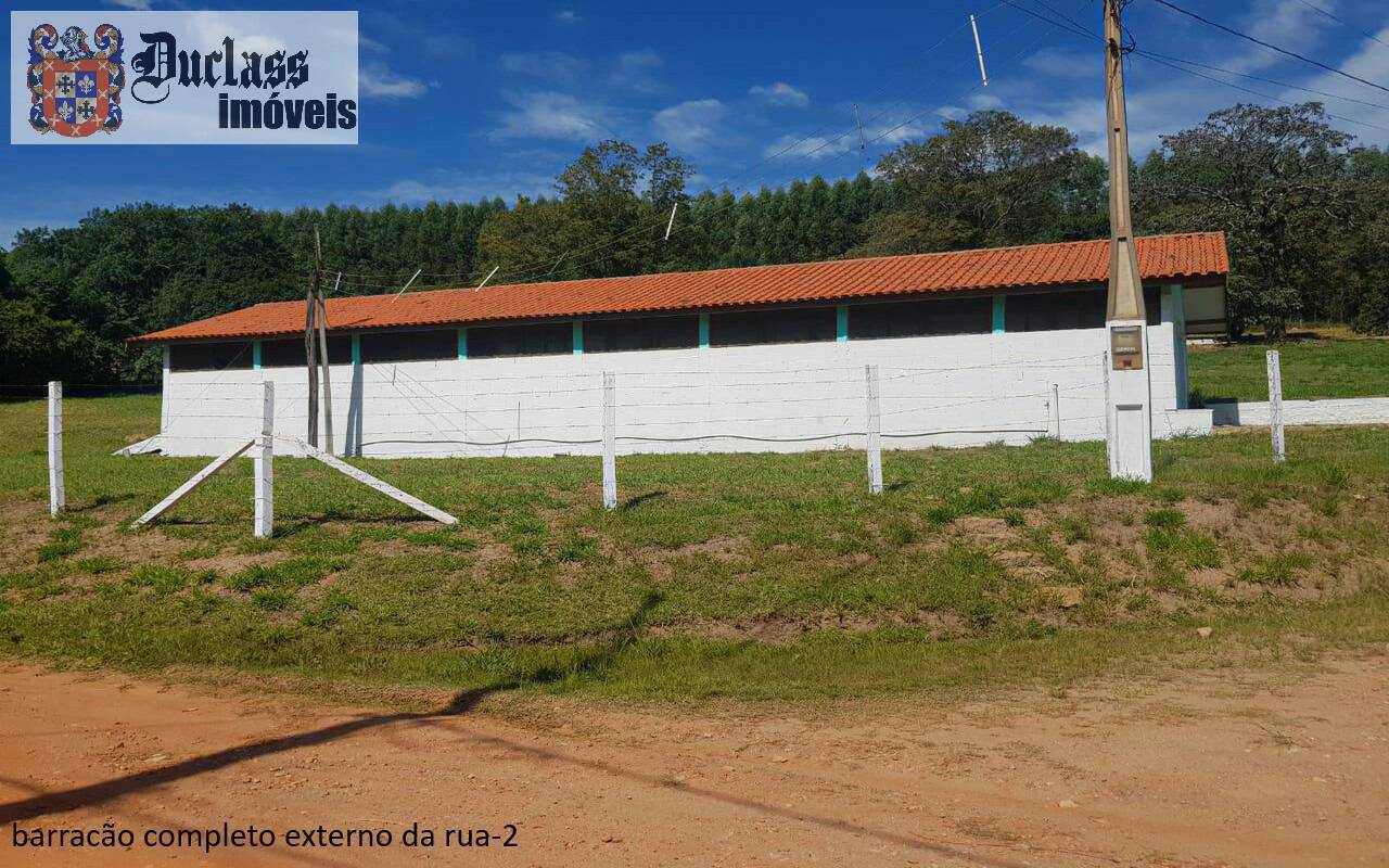 Sítio, 7 quartos, 2 hectares - Foto 6