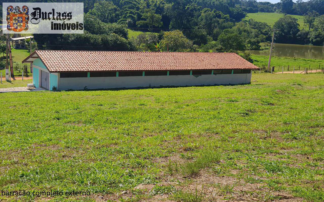 Sítio, 7 quartos, 2 hectares - Foto 7