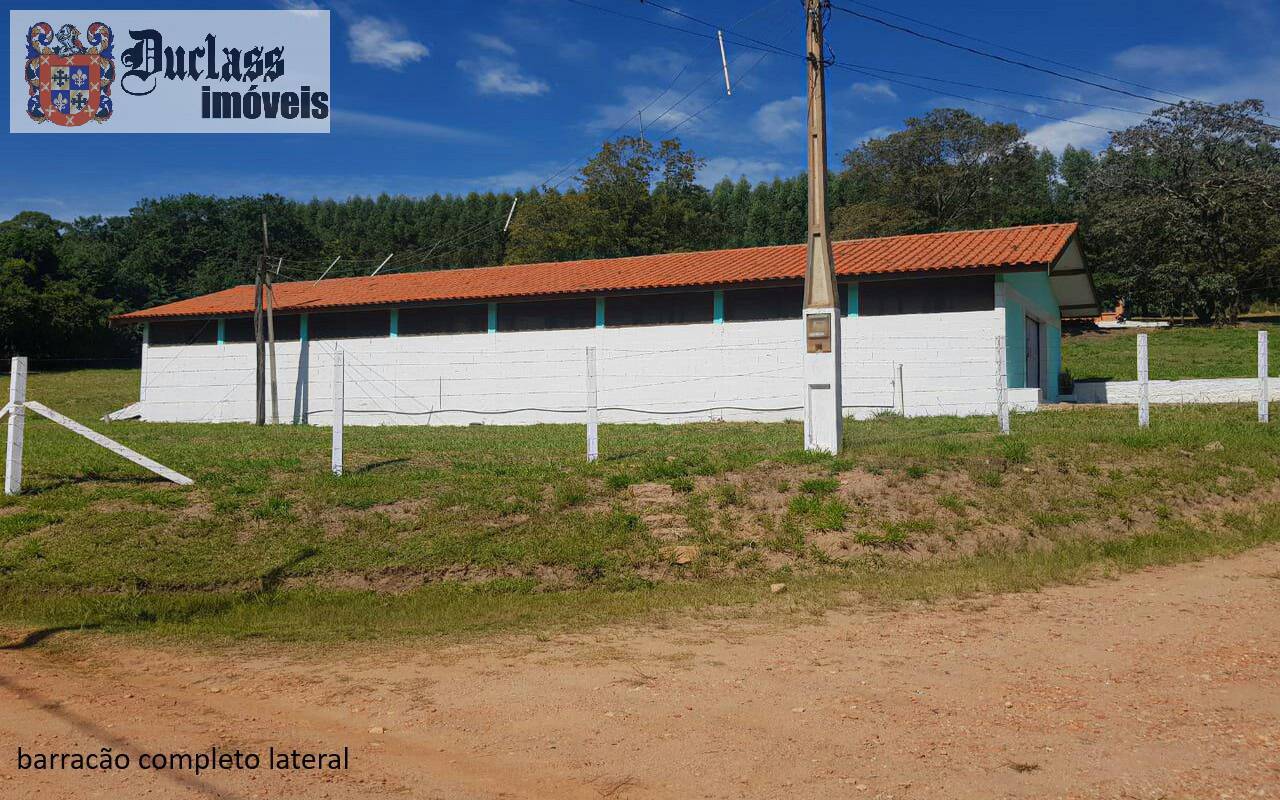 Sítio, 7 quartos, 2 hectares - Foto 9