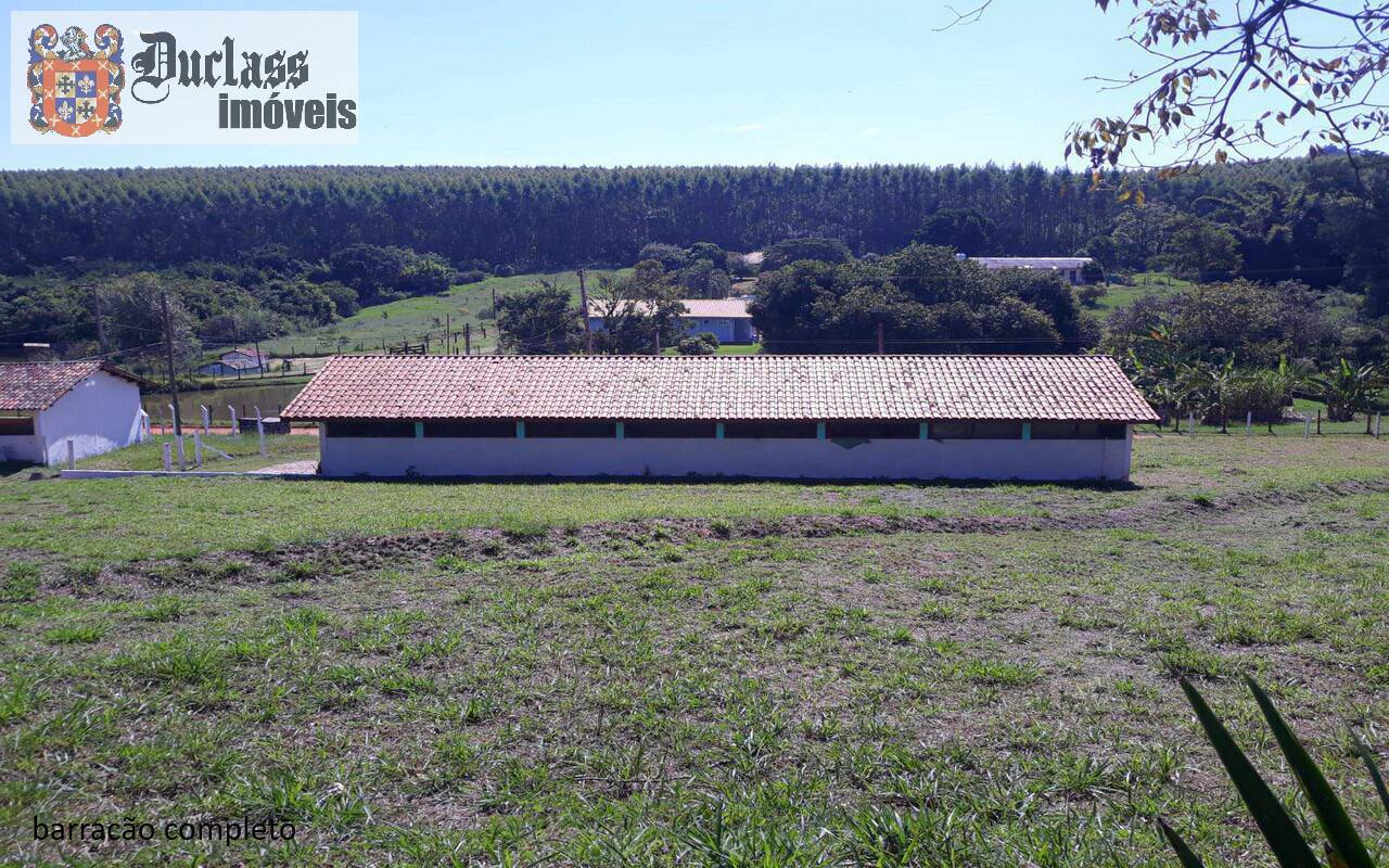 Sítio, 7 quartos, 2 hectares - Foto 10