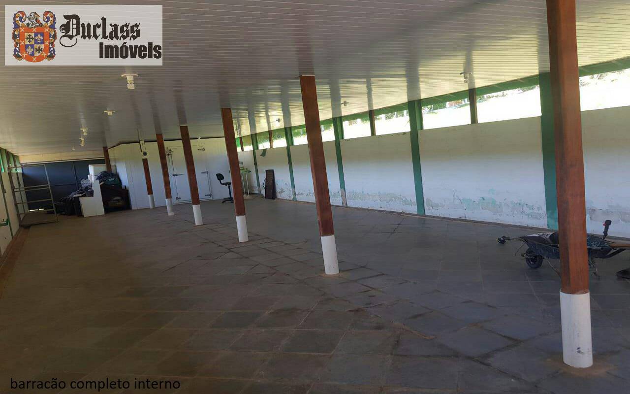 Sítio, 7 quartos, 2 hectares - Foto 11