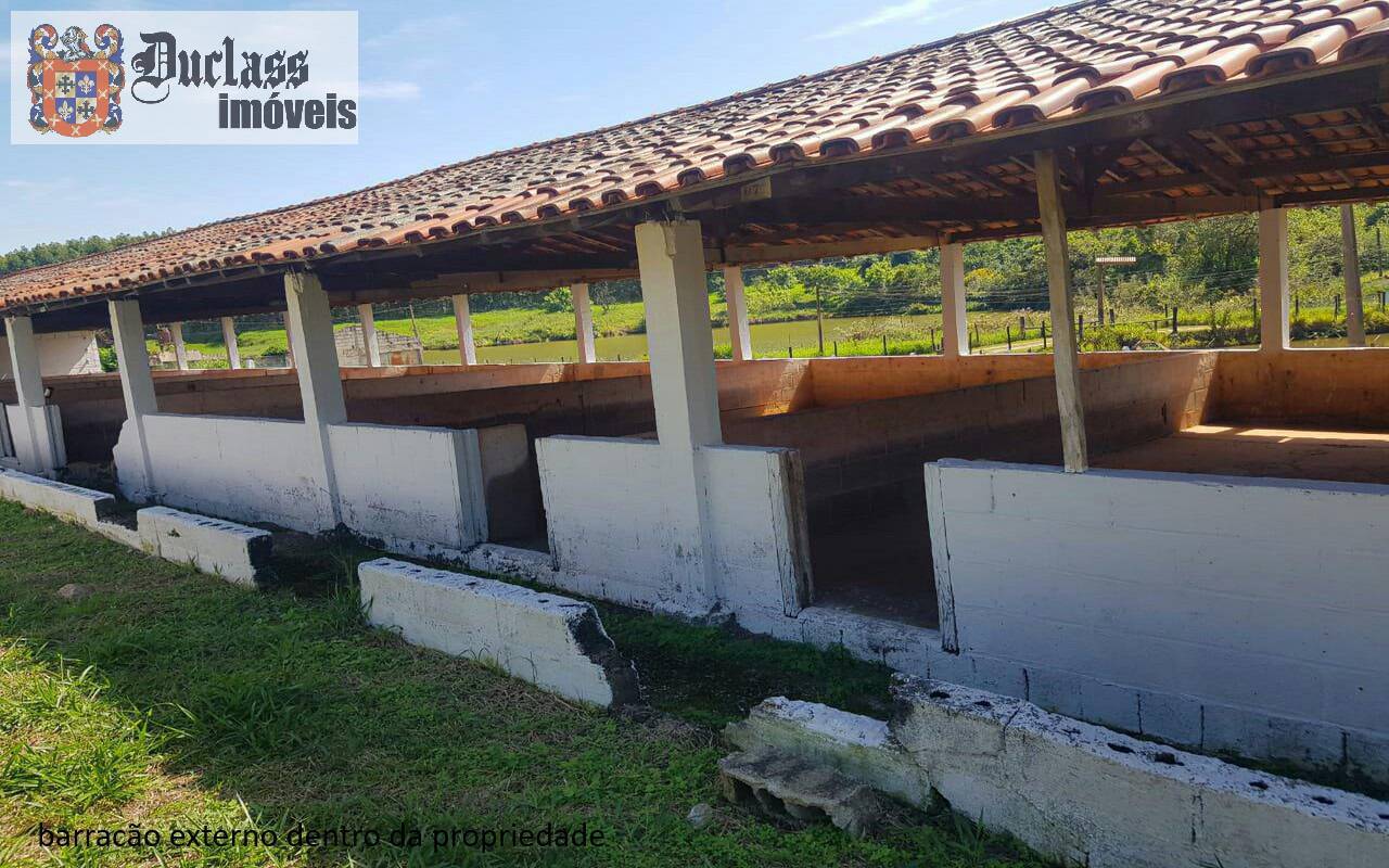 Sítio, 7 quartos, 2 hectares - Foto 13